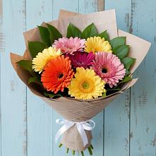 Букет цветов из:  Герберы в Плеханово