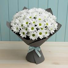 Букет цветов из:  Хризантемы в Плеханово