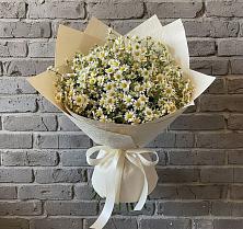 Букет цветов из:  Ромашки #REPLACE_PRED# Плеханово