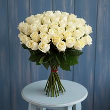 Букет 51 Белая роза Эдлесс Лав #REPLACE_PRED# Плеханово