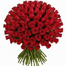 Букет Красные розы Чери Лав в Плеханово